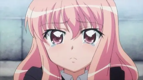 ルイズ（ゼロの使い魔）