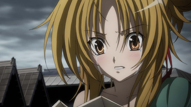 織田信奈（織田信奈の野望）