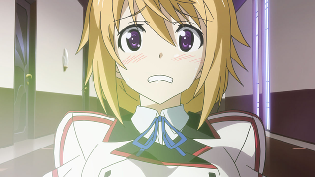 シャルロット・デュノア（IS〈インフィニット・ストラトス〉）